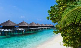 Goa