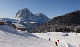 Val Gardena