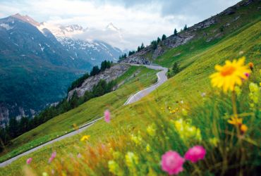 Austrijos Alpės