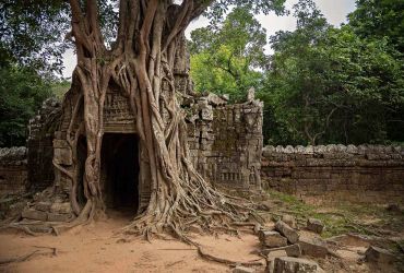 Angkor Wat šventykla (Kambodža)