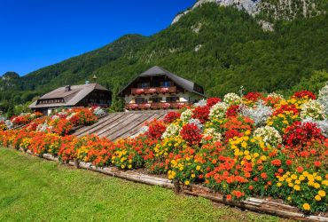 Austrijos Alpės
