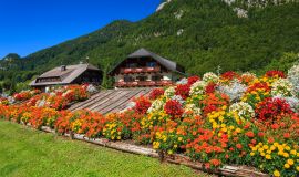 Austrijos Alpės