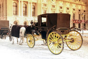 Viena
